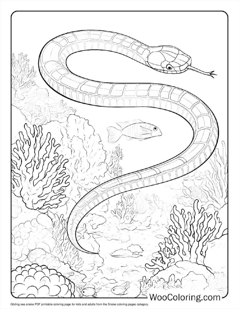 coloring pages snakes printable coloring pages snakes printable