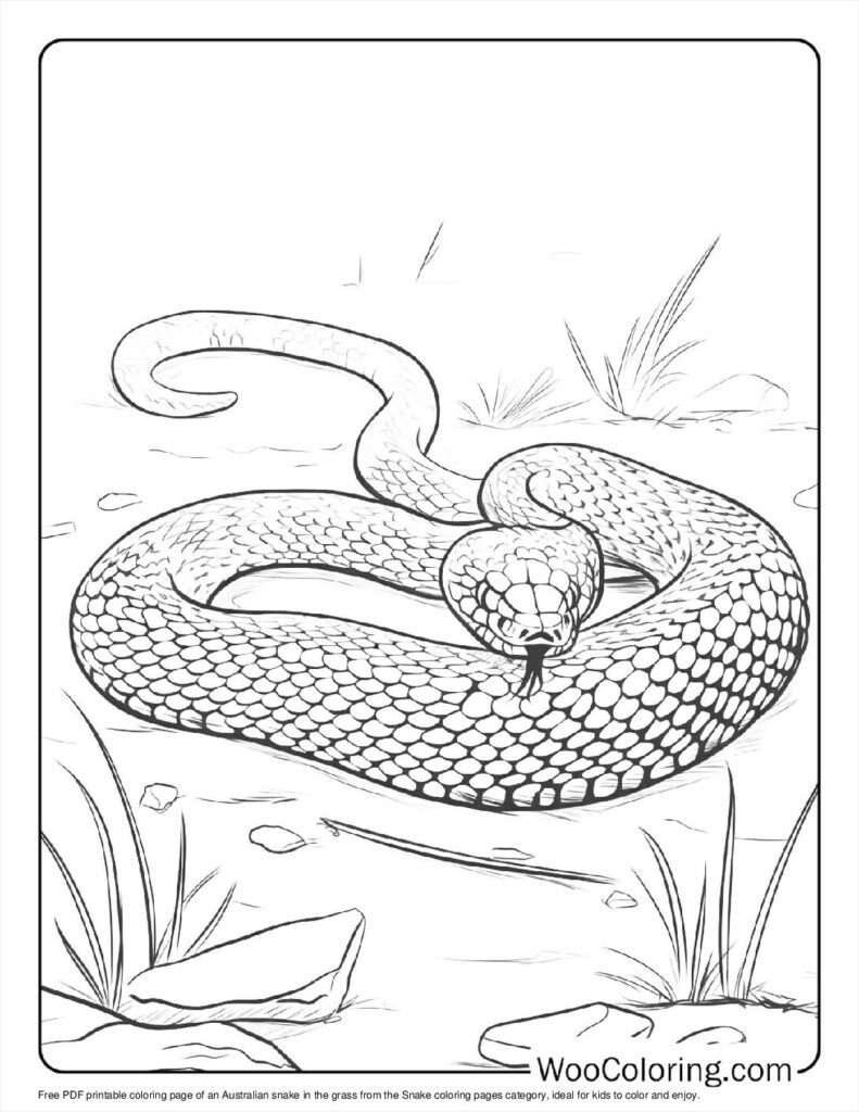 100 Snake Coloring Pages Free PDF To Print Woo Coloring 100 Snake Coloring Pages Free PDF To Print Woo Coloring