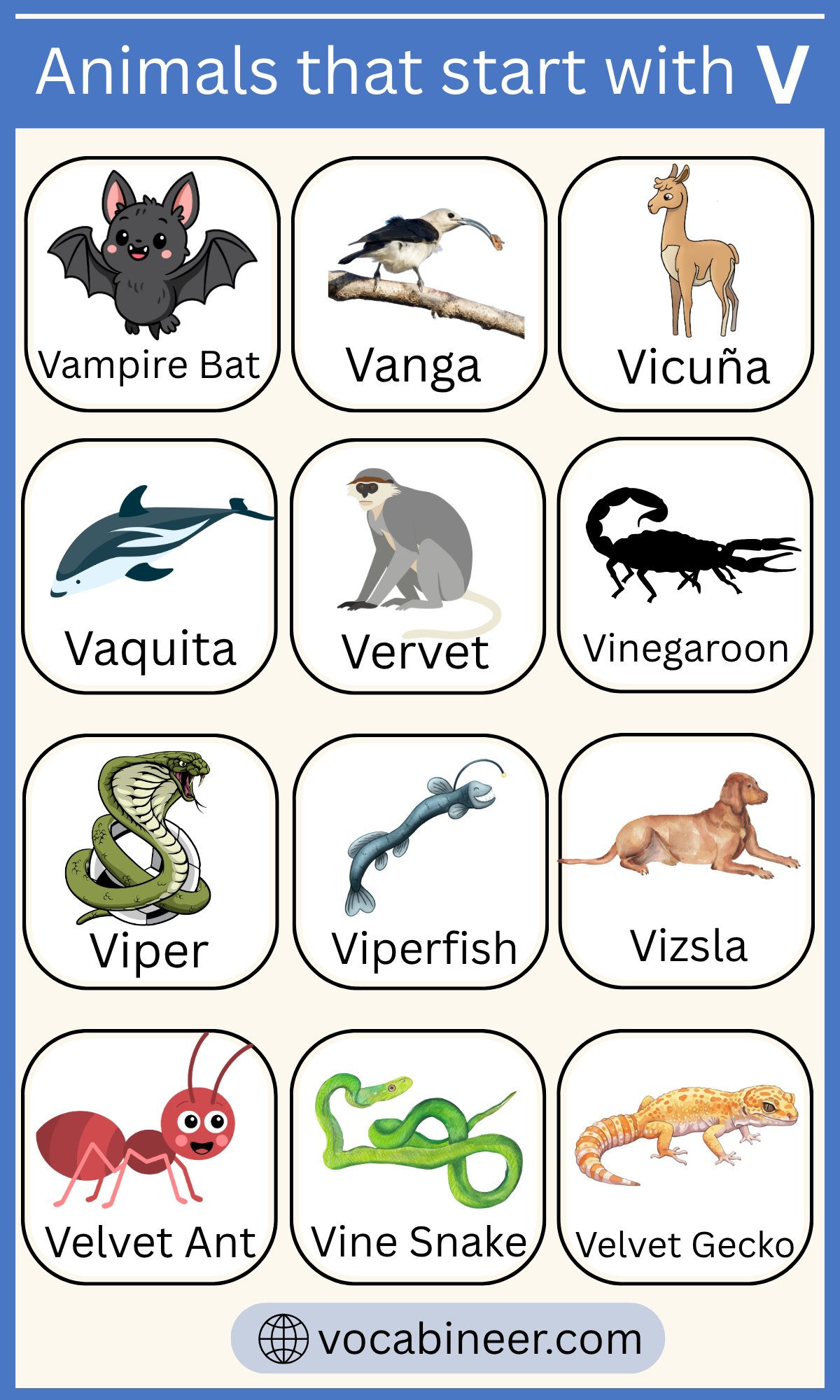 start with letter v animals