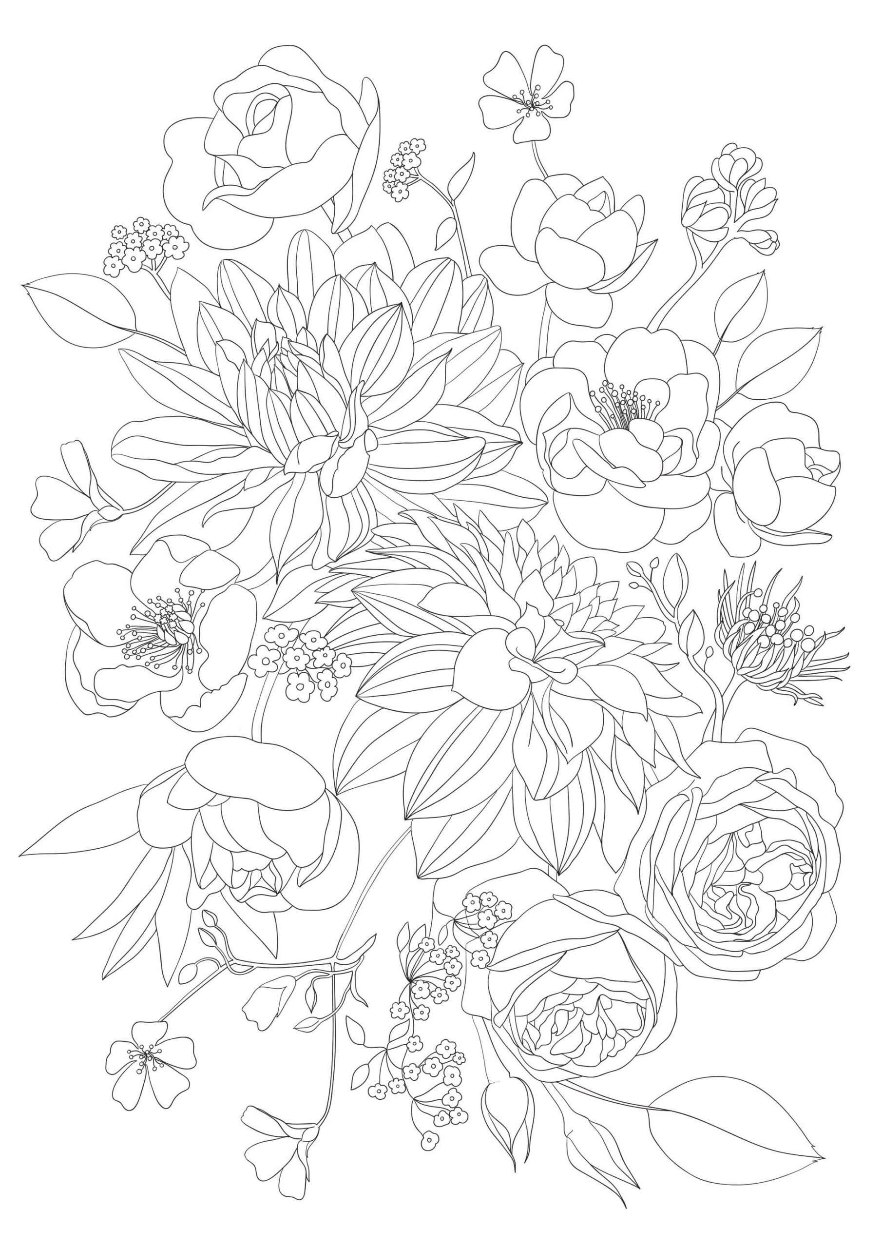 4 Printable Adult Flowers Coloring Pages PNG A4 Roses And Chrysanthemum Relaxing Hobby Creating Floral Art For Wall Decor Lovely Gift Etsy