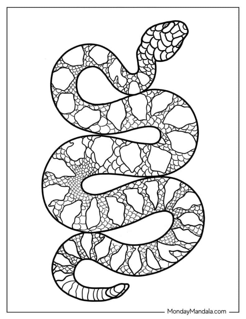 free snake coloring pages printables