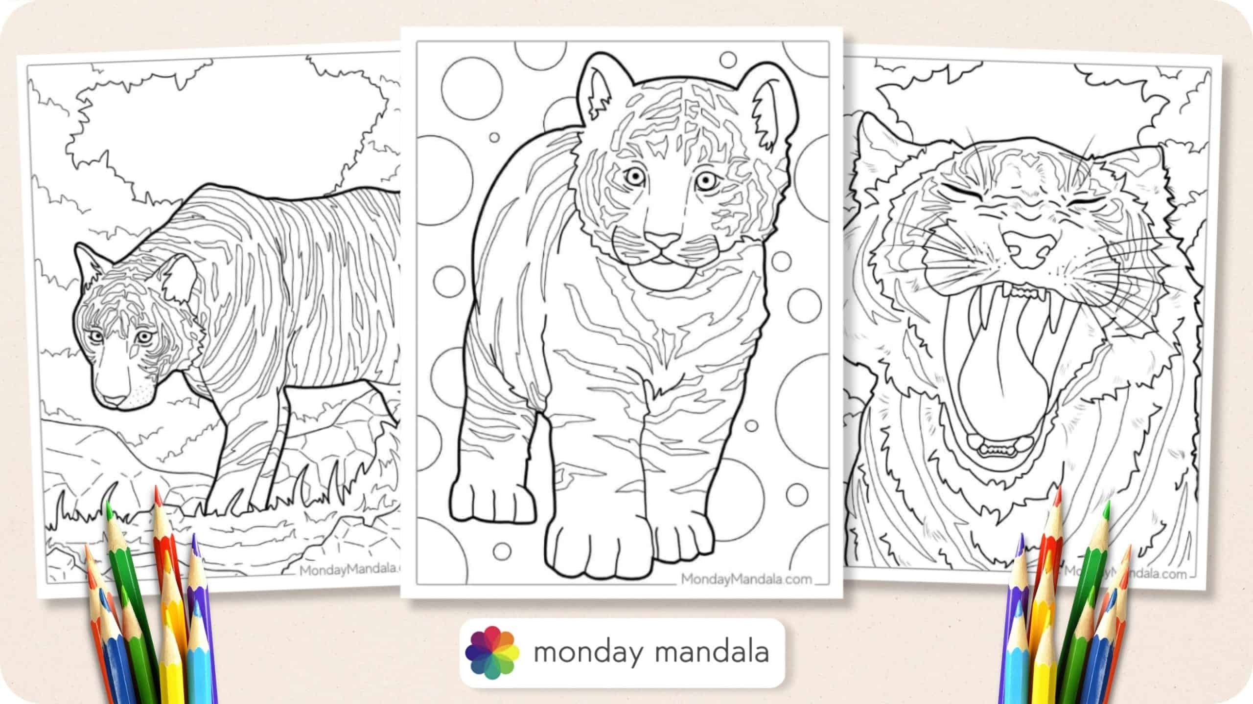 40 Tiger Coloring Pages Free PDF Printables 