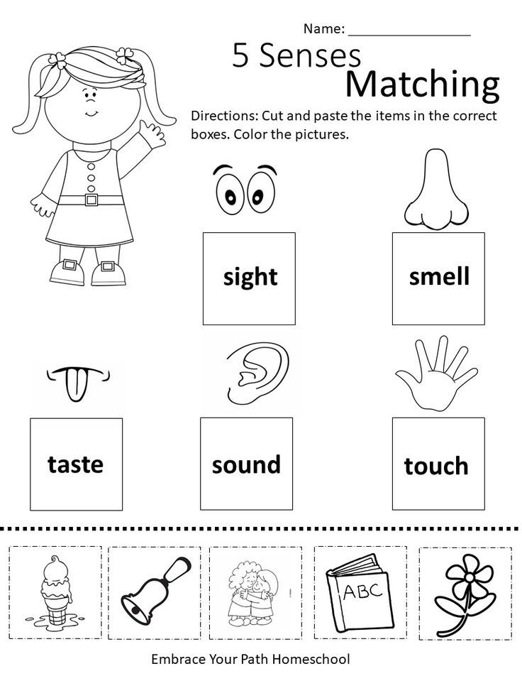 5 Senses Matching Free Worksheet PreK Senses Preschool 5 Senses 