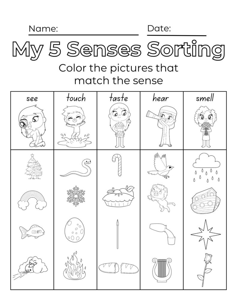 five senses worksheets preschool