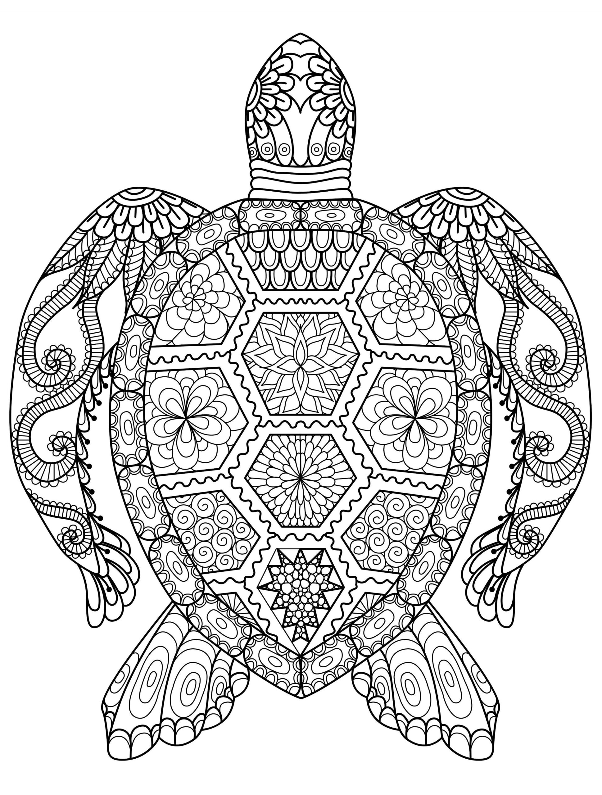 coloring pages for adults animals coloring pages for adults animals