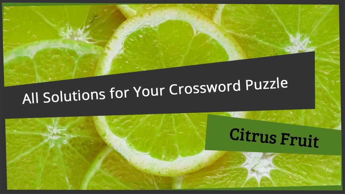 All Citrus Fruit Solutions For Your Crossword Puzzle Word grabber