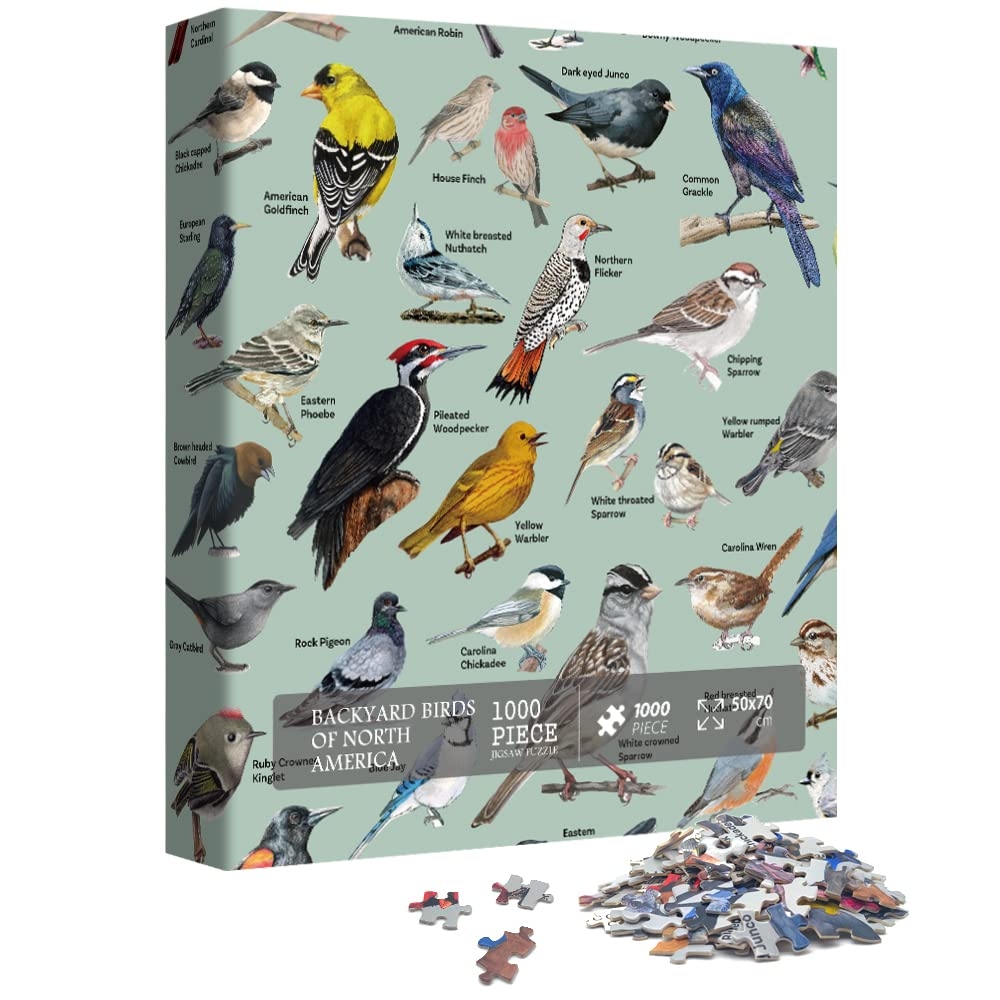 Amazon Bird Puzzle For Adults 1000 Pieces And Up Backyard Birding Puzzle Collects 47 Backyard Birds Of North America Birds Theme Jigsaw Puzzles For Bird Lover Toys Games