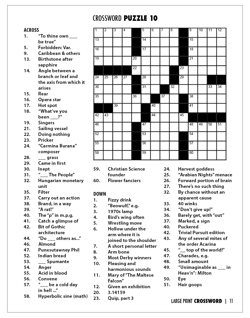 Amazon ZOCO Large Print Crossword Puzzle Books 25 Bulk Pack Games For Adults The Visually Impaired Seniors Gifts For Assisted Living Residents Vol 2 Toys Games