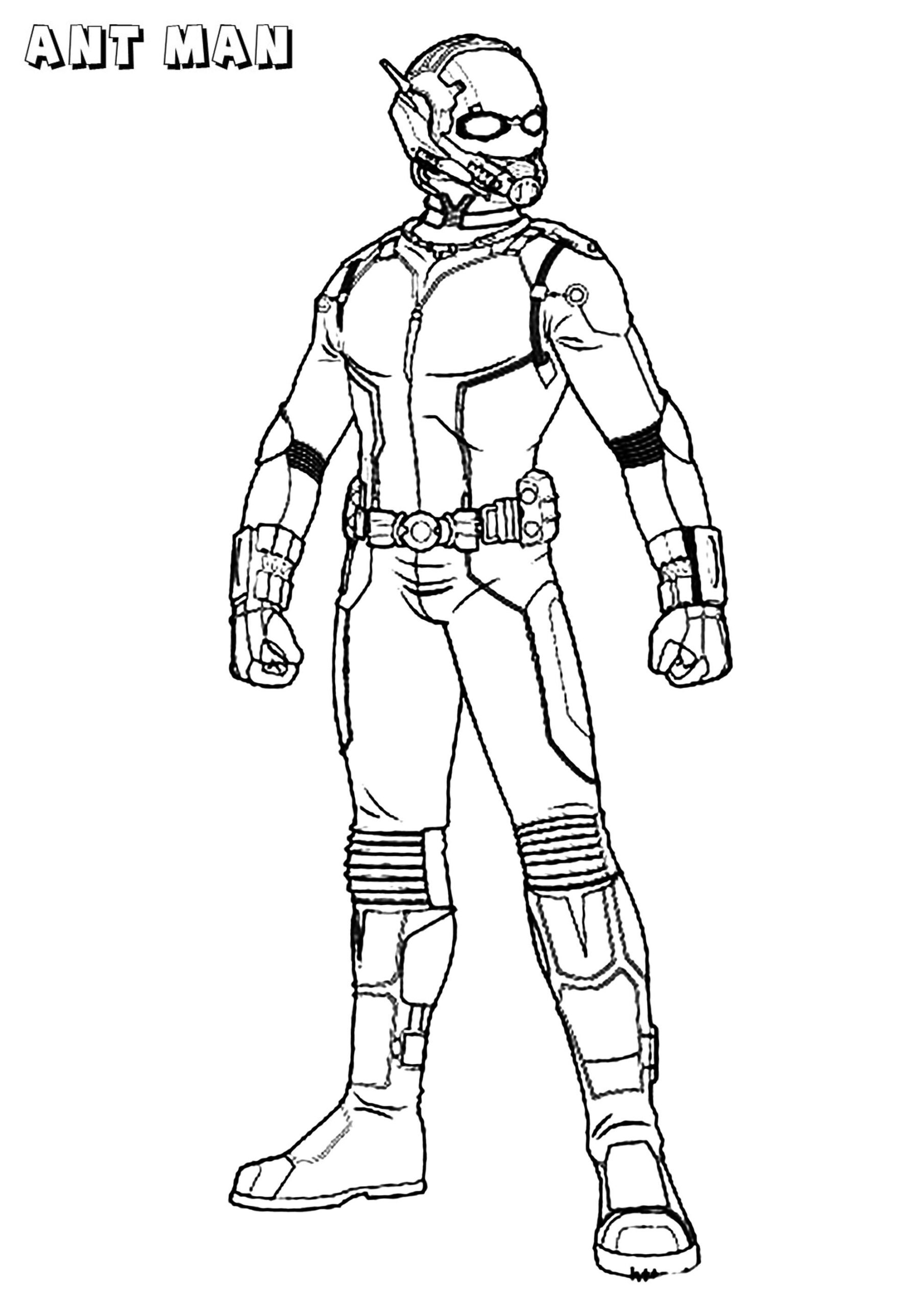 Ant Man Ant man Coloring Pages For Kids Ant Man Ant man Coloring Pages For Kids