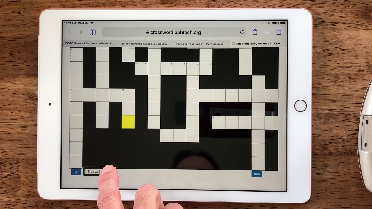 tablet crossword puzzle clue