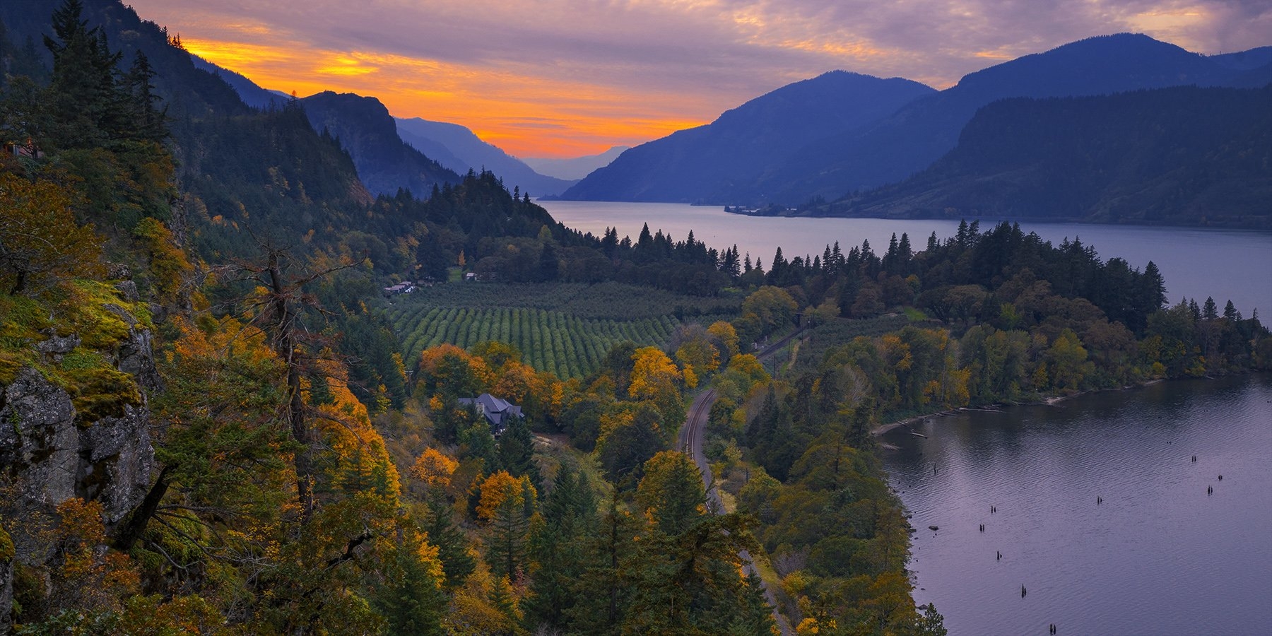 art for sale portland oregon