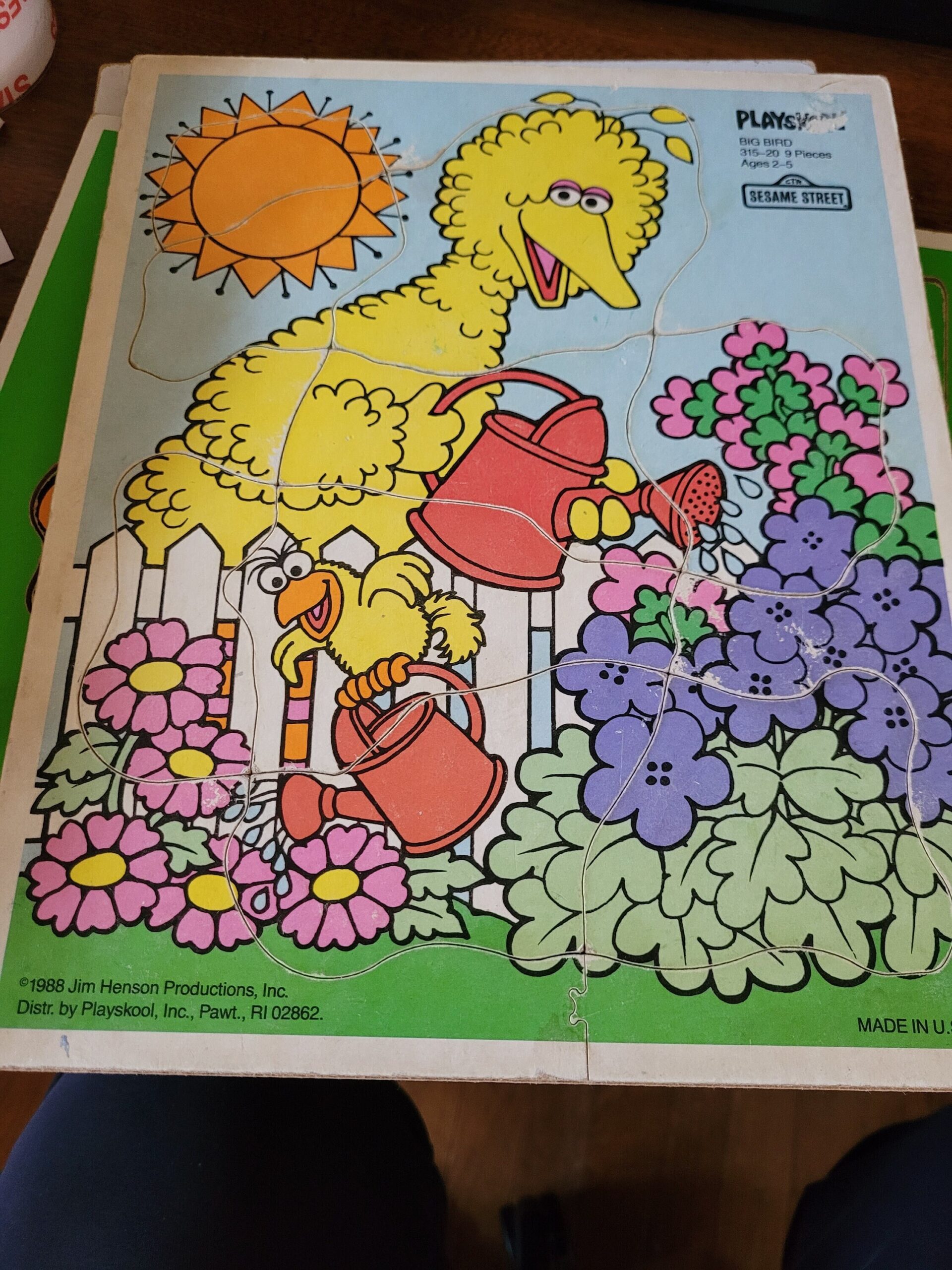 big bird crossword clue