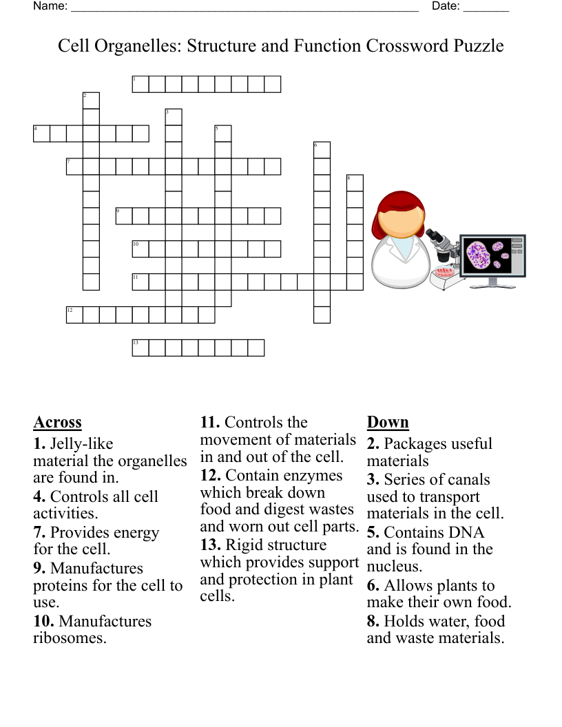 Chapter 6 Cell Structure And Function Crossword WordMint