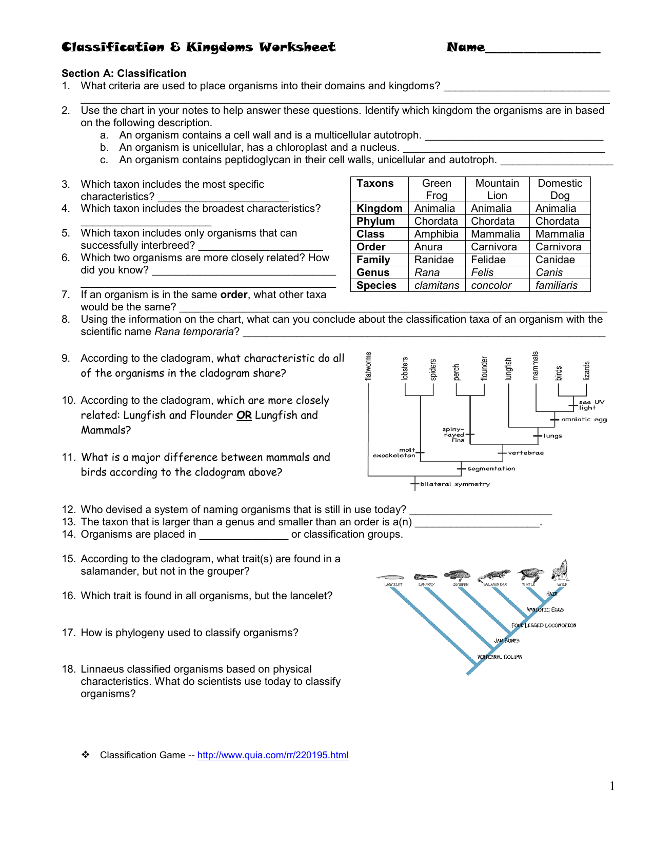 Classification Kingdoms Worksheet