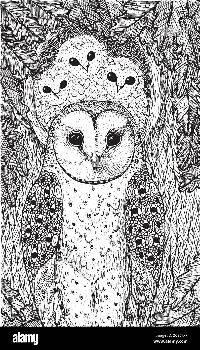 owl coloring pages for adults