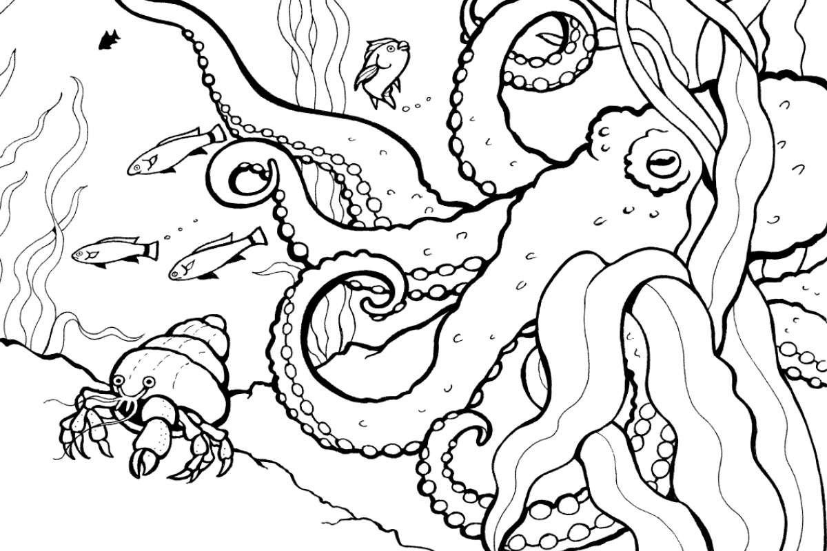 Coloring Pages Activities Monterey Bay Aquarium Coloring Pages Activities Monterey Bay Aquarium