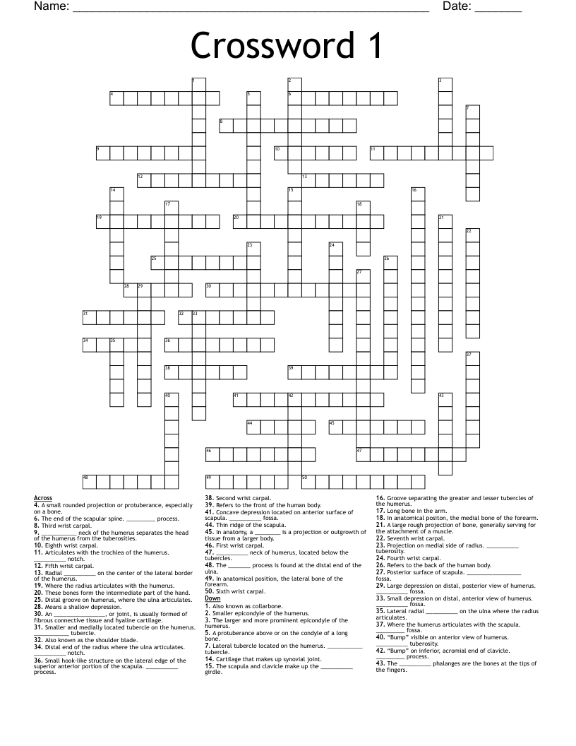 Crossword 1 WordMint