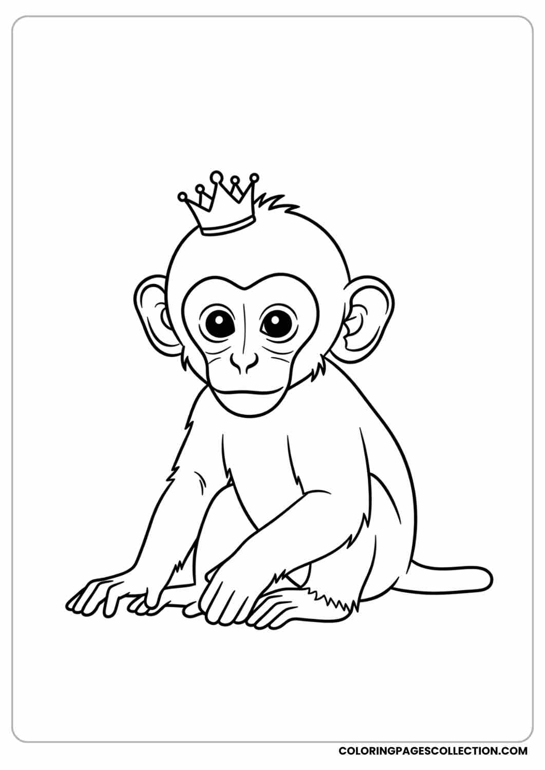 Cute Monkey Coloring Pages For Kids And Adults