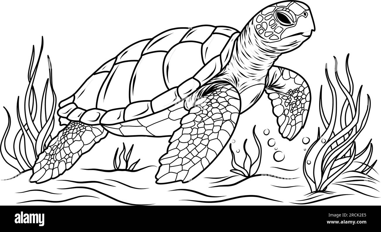 Cute Turtle Coloring Pages For Adults Stock Vector Images Alamy Cute Turtle Coloring Pages For Adults Stock Vector Images Alamy