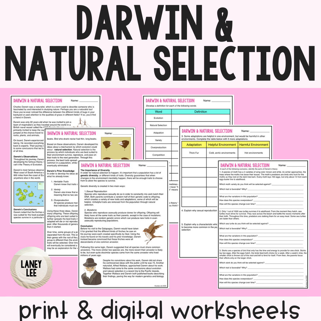 darwin's natural selection worksheet
