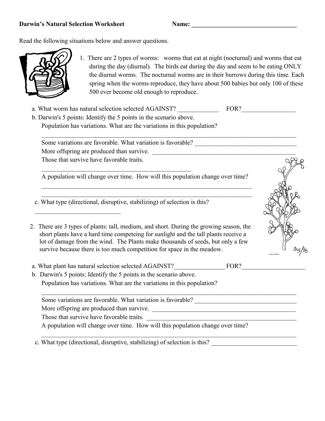 Darwin s Natural Selection Worksheet