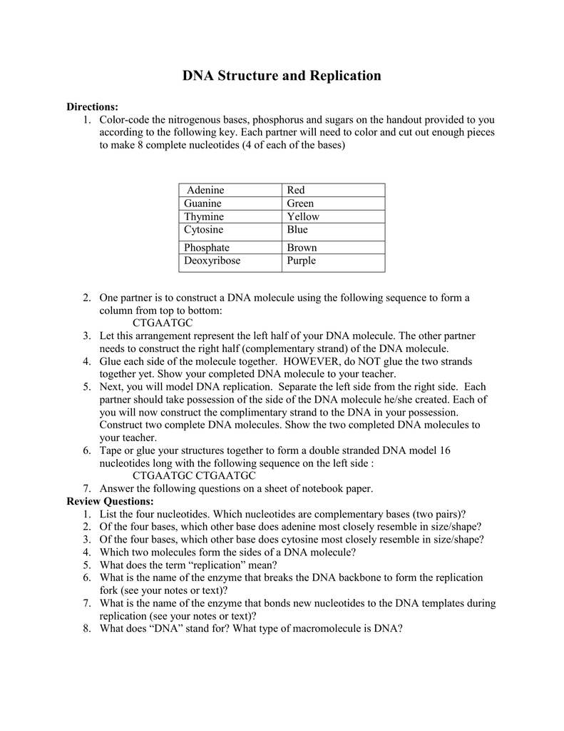 dna structure and replication worksheet dna structure and replication worksheet