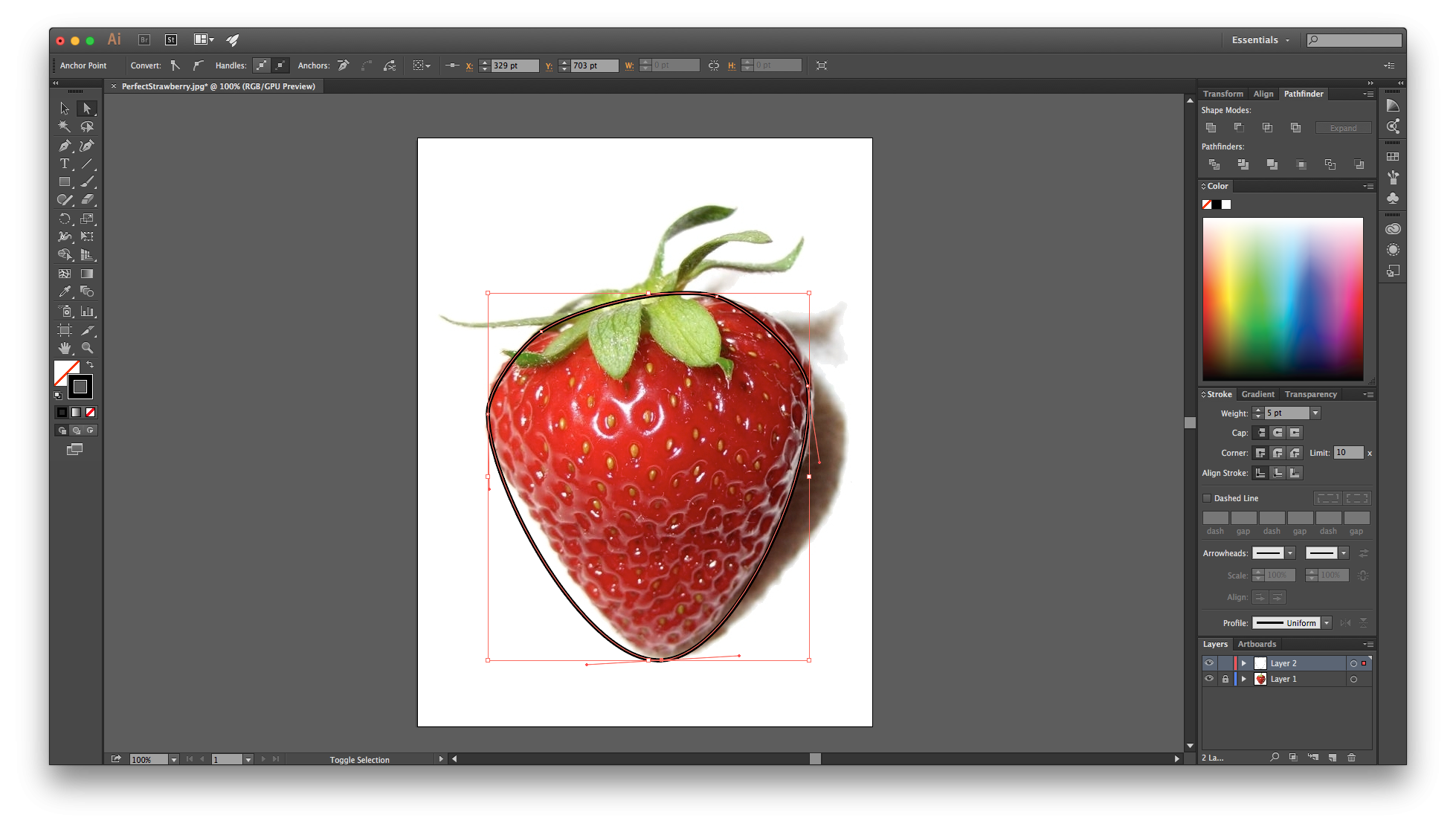 Drawing In Illustrator For Beginners