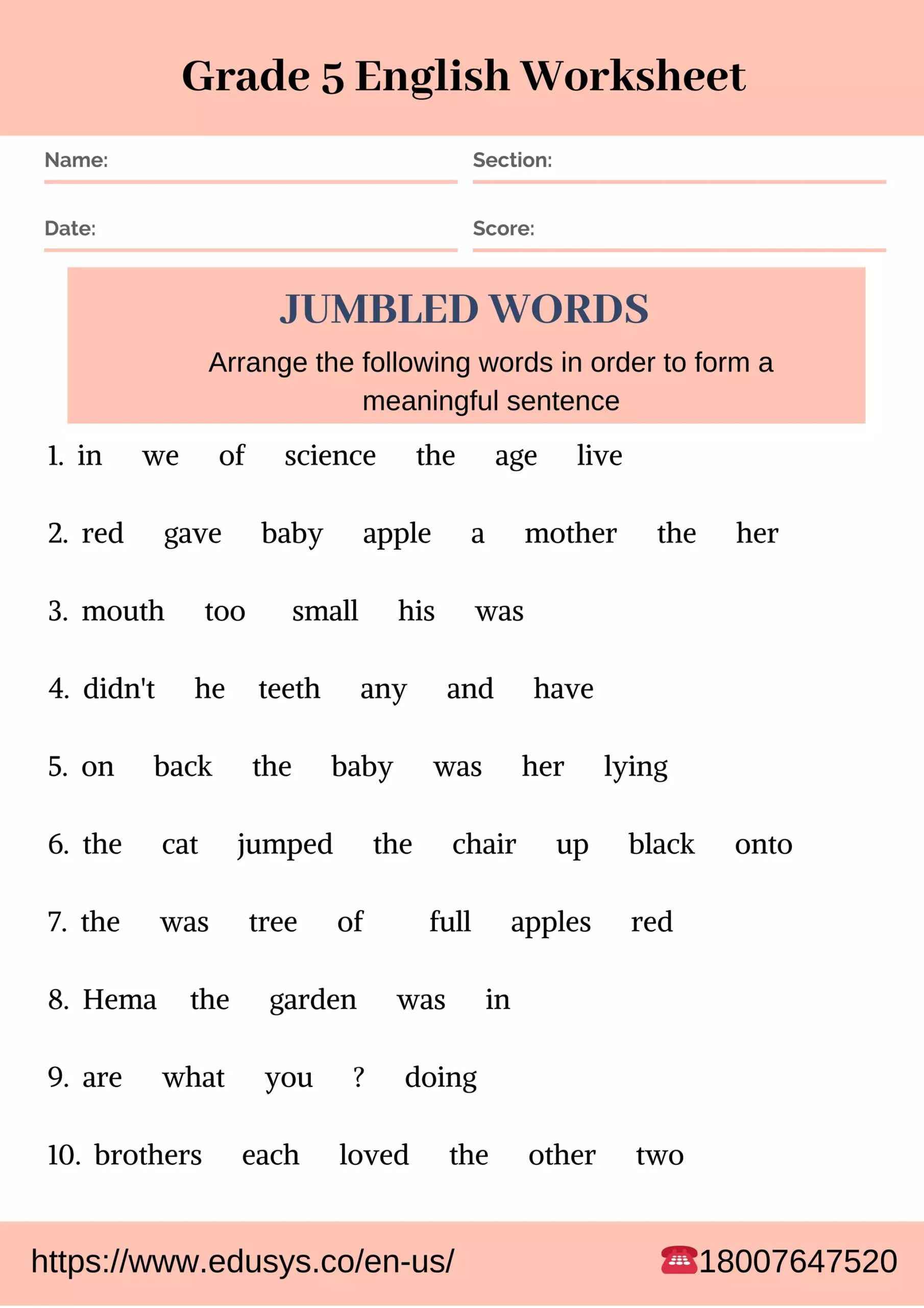 English Grammar Worksheet For 5th Grade Students PDF