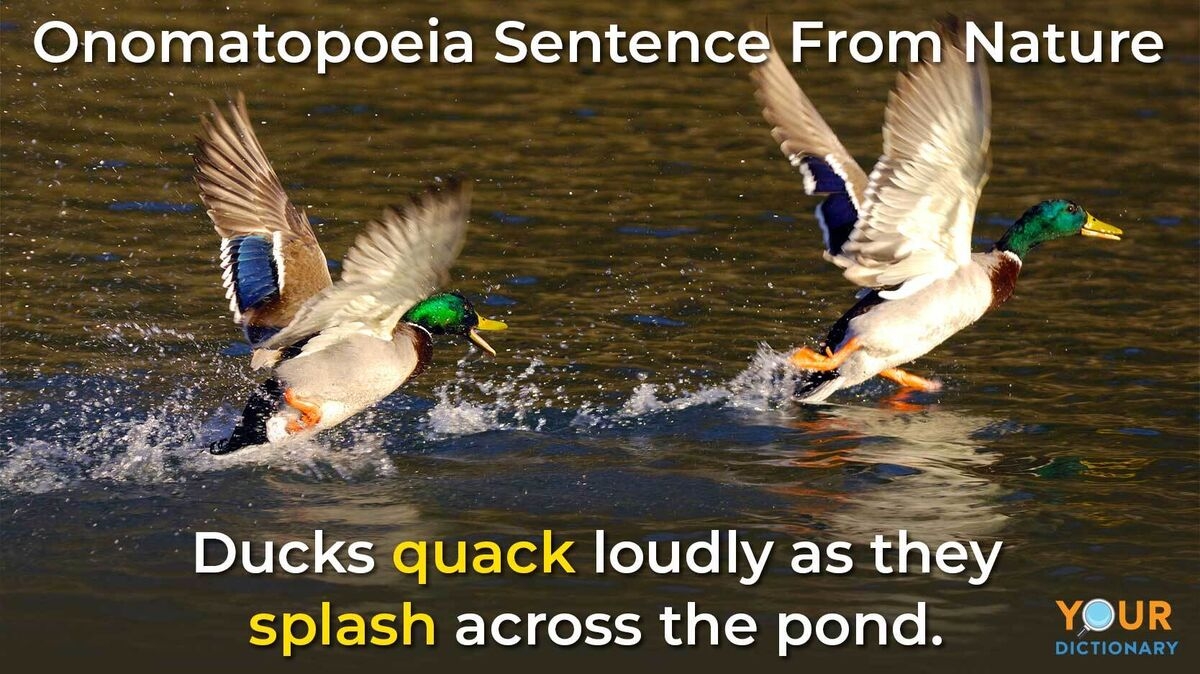 Examples Of Onomatopoeia In Nature YourDictionary