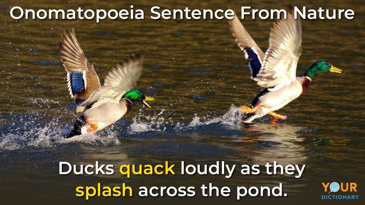 onomatopoeia in a sentence