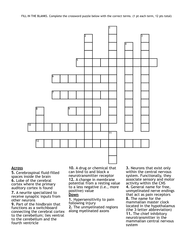 FILL IN THE BLANKS Complete The Crossword Puzzle Below With The Correct Terms 1 Pt Each Term 12 Pts Total WordMint FILL IN THE BLANKS Complete The Crossword Puzzle Below With The Correct Terms 1 Pt Each Term 12 Pts Total WordMint