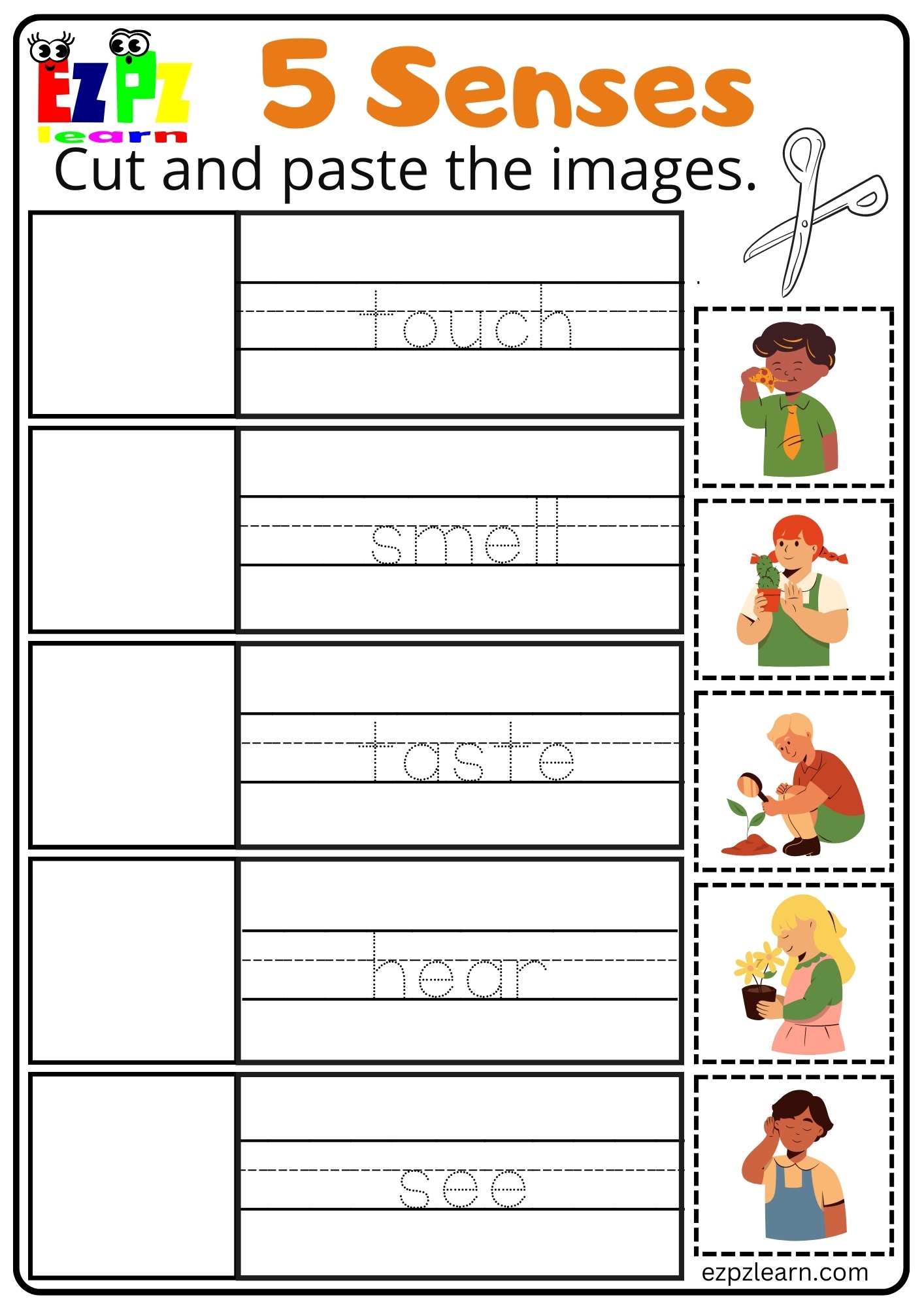 5 senses worksheets kindergarten