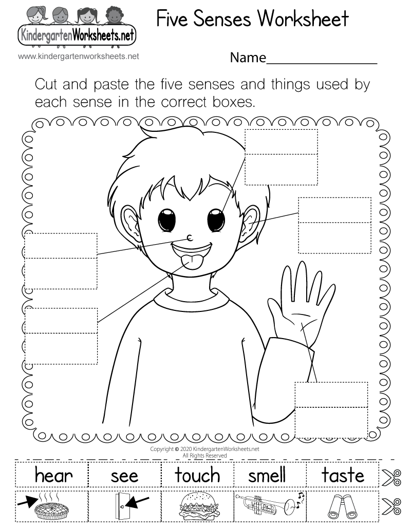 Five Senses Worksheet Free Printable Digital PDF Five Senses Worksheet Free Printable Digital PDF