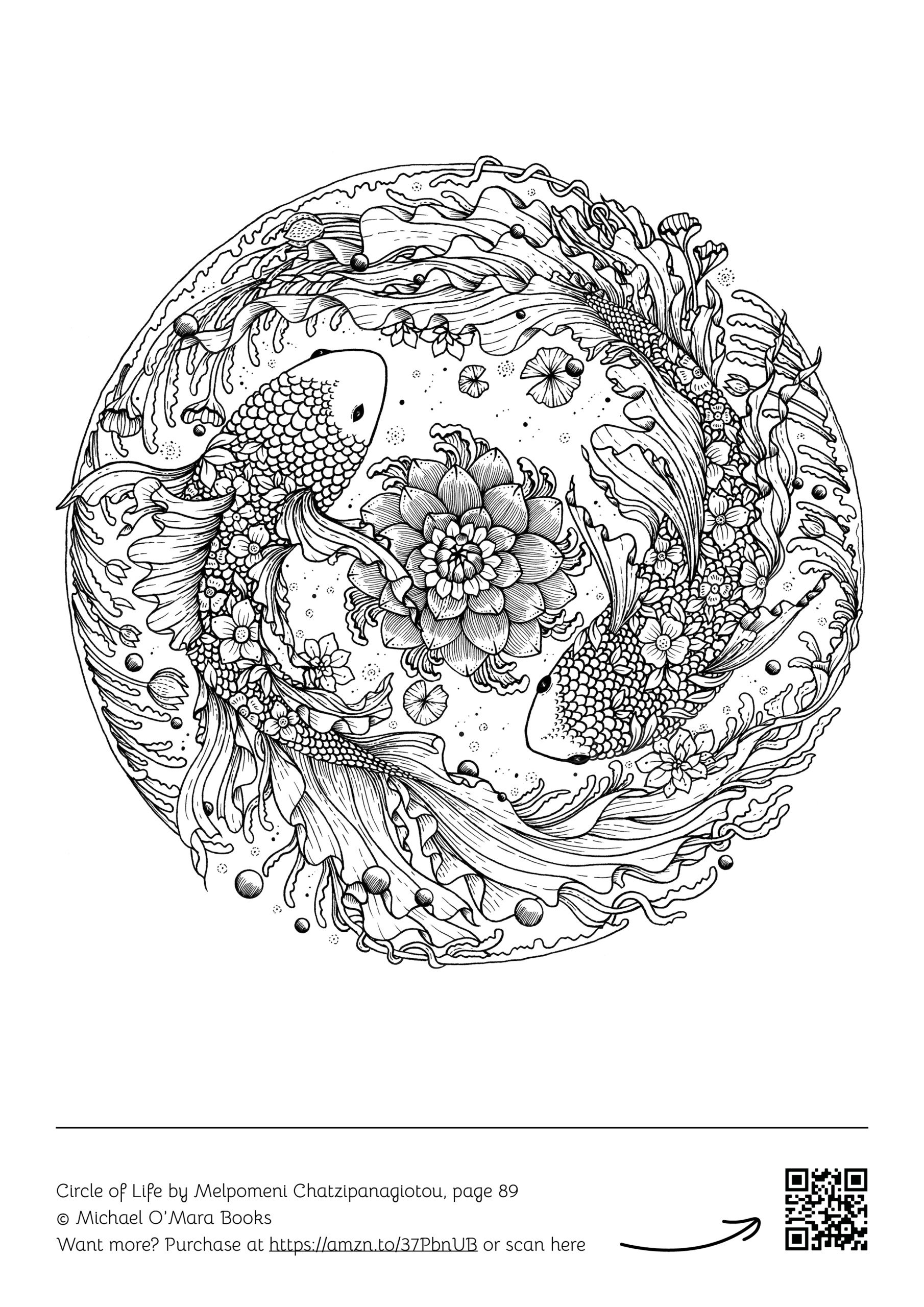 Free Downloadable Colouring Pages For Adults Michael O Mara Books