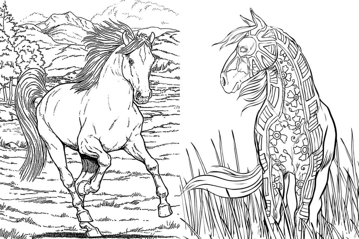Free Horse Coloring Pages For Adults Kids COWGIRL Magazine