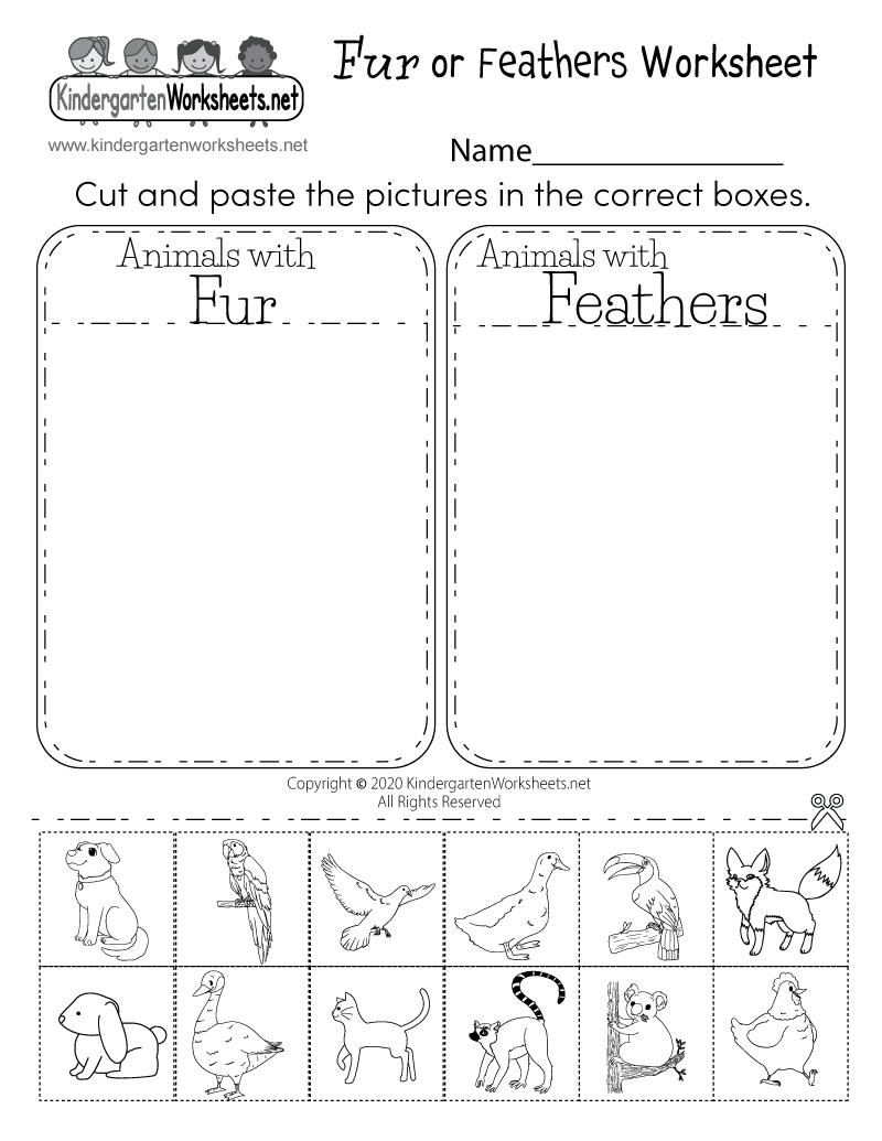 Free Printable Fur Or Feathers Worksheet Free Printable Fur Or Feathers Worksheet
