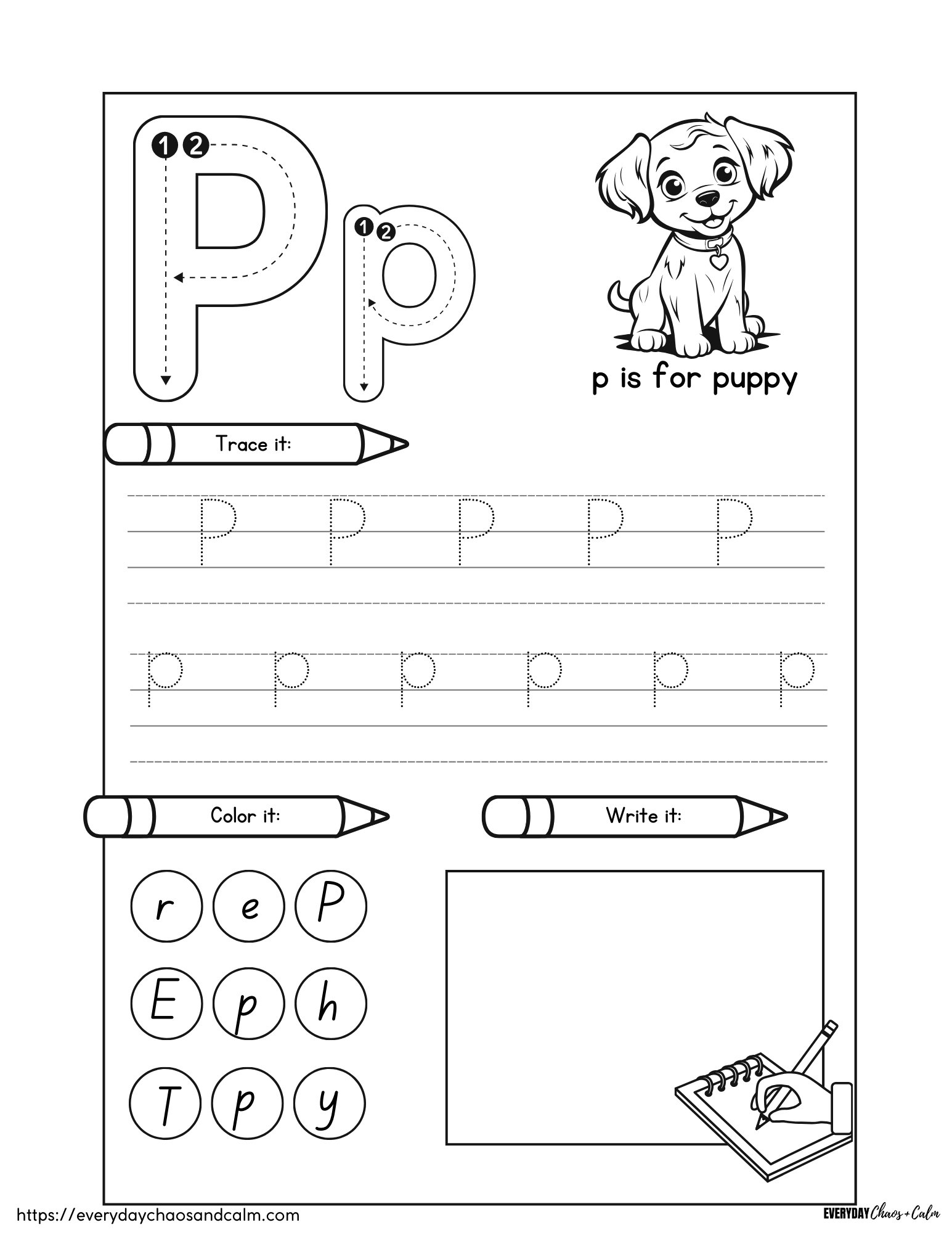 Free Printable Letter P Worksheets