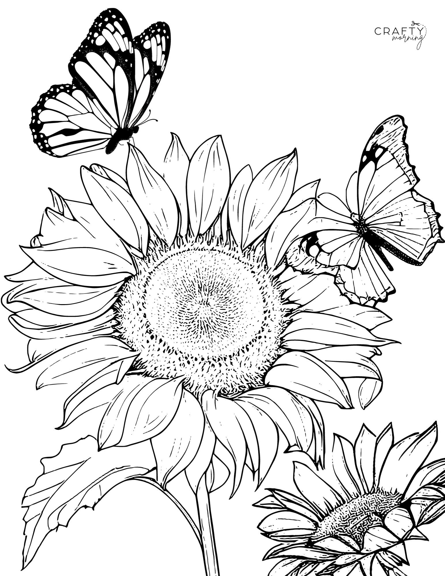 sunflower coloring sheets