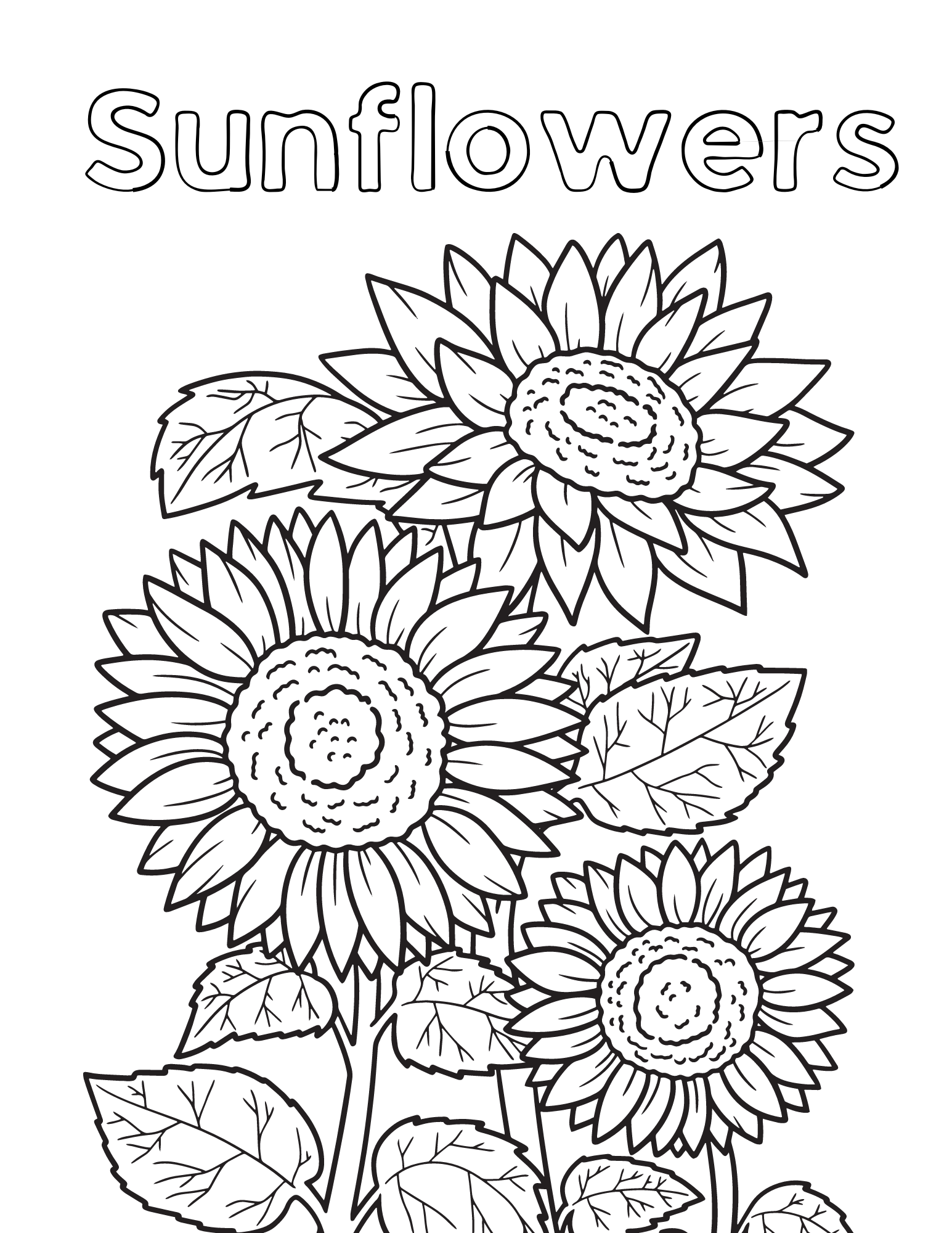 sunflower color pages sunflower color pages