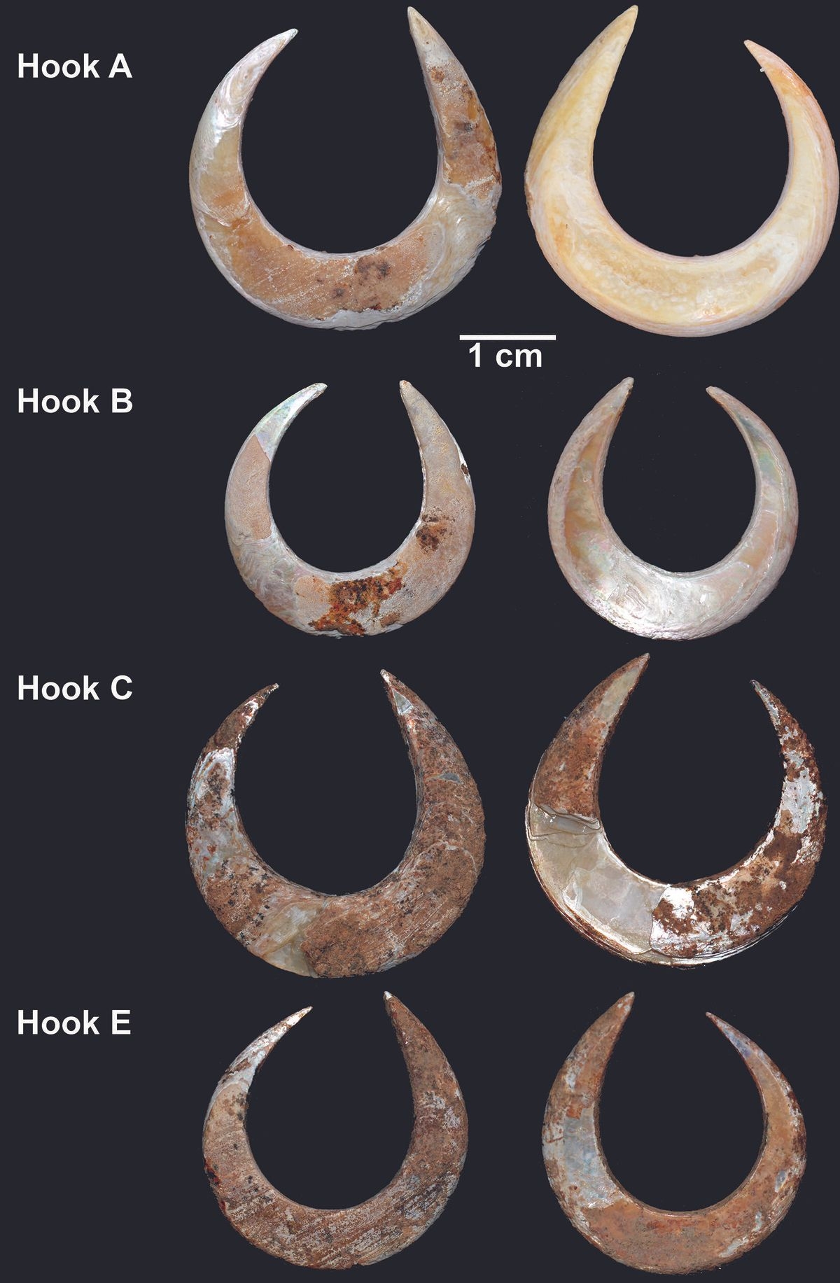 Gone Fishing 11 500 Year Old Fishhooks Discovered In Woman s Grave Live Science
