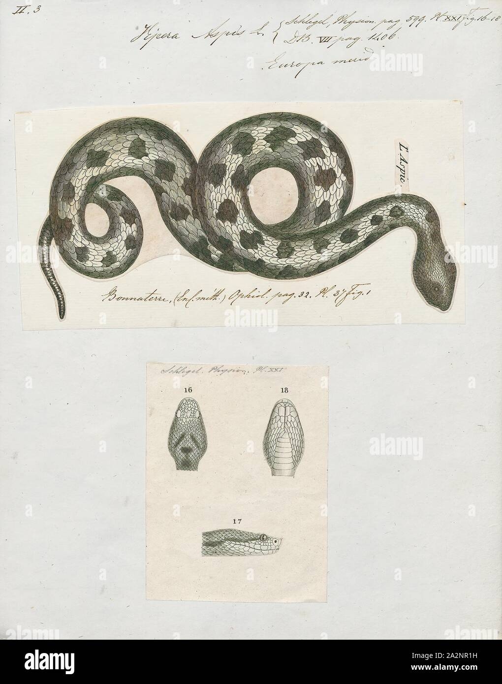 Greek Names Hi res Stock Photography And Images Alamy