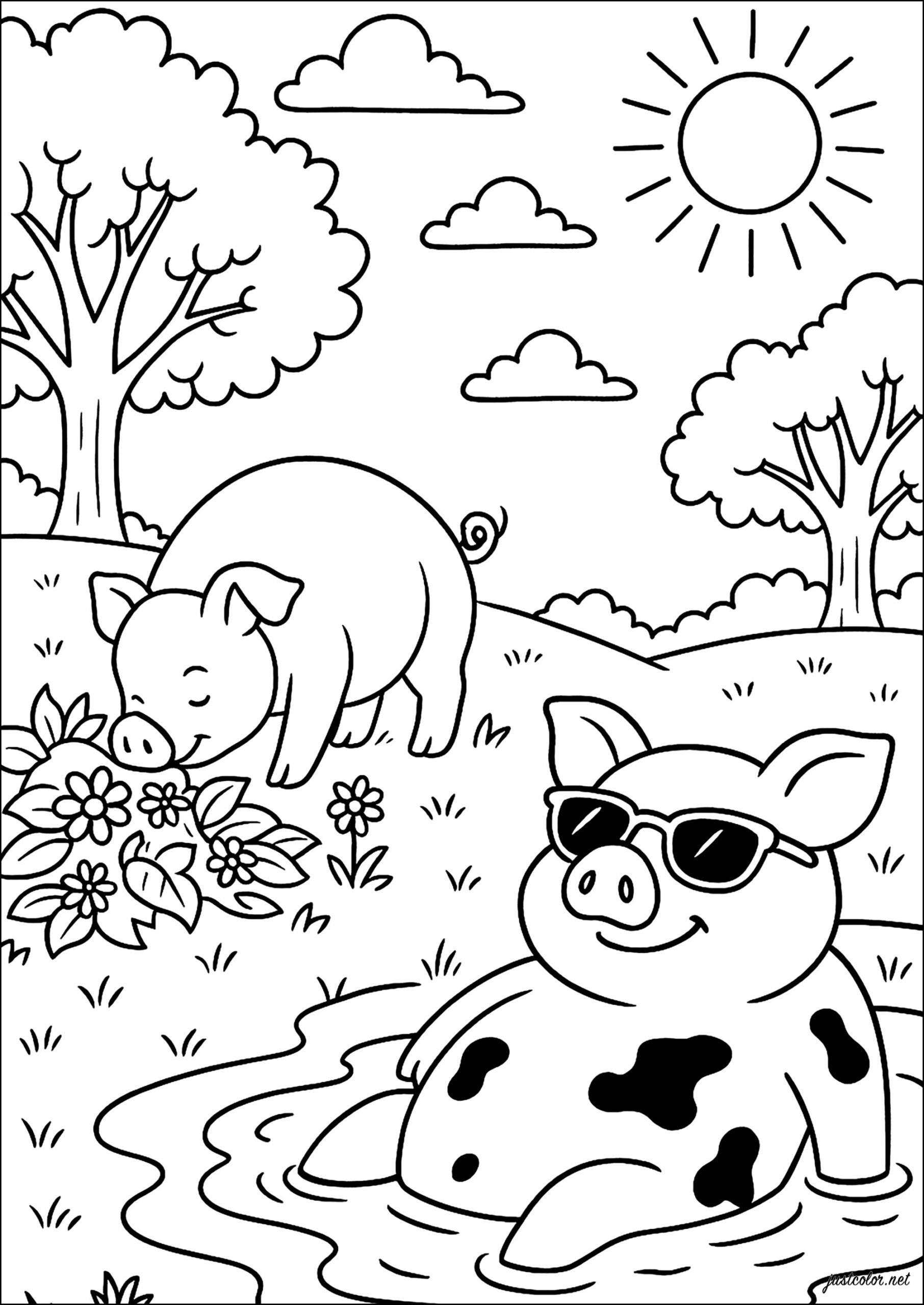 Hog Relaxation In The Sunshine Pig Coloring Pages