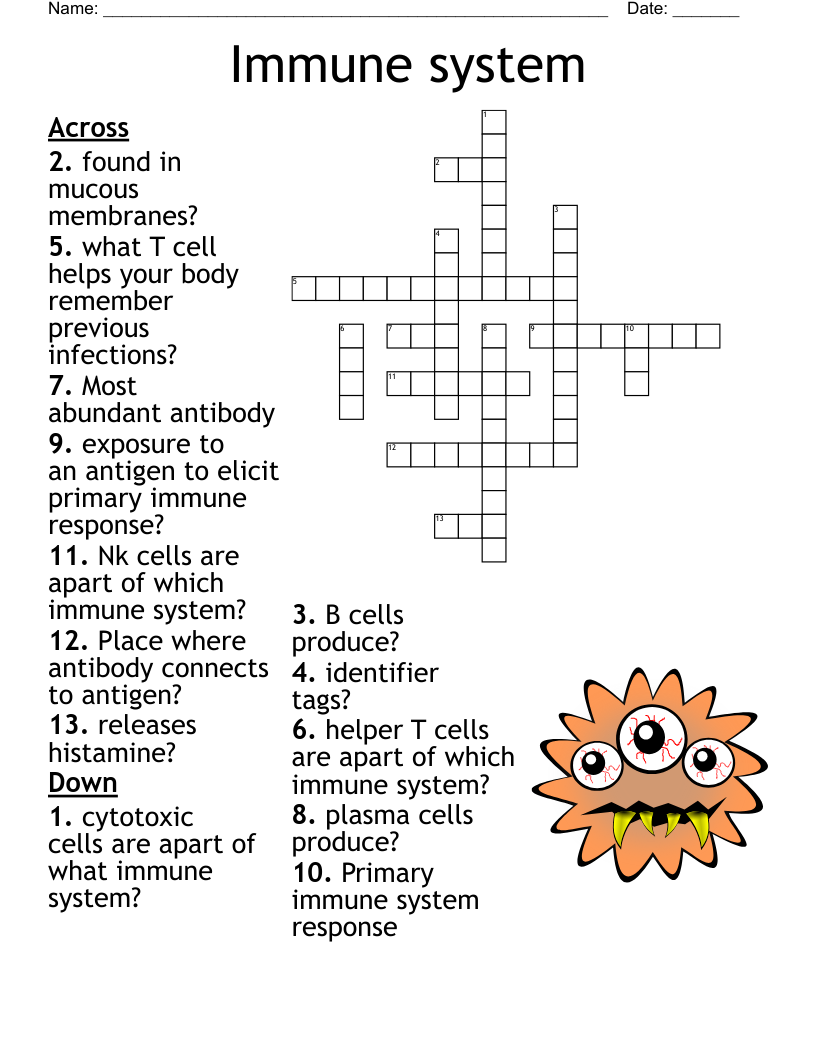 Immune System Crossword WordMint