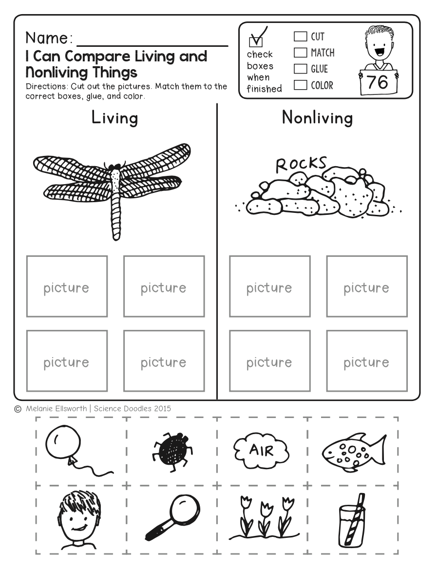 science for kindergarten worksheets science for kindergarten worksheets