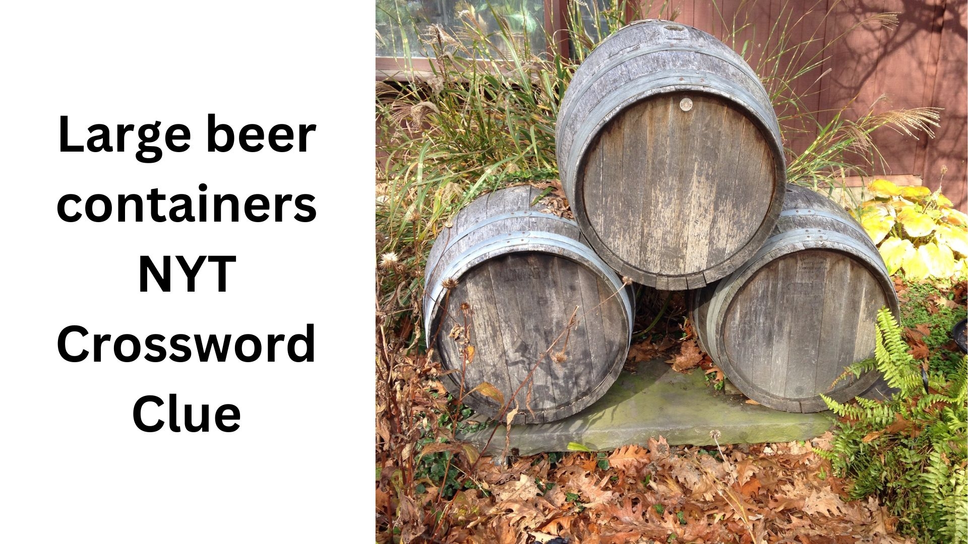 Large Beer Containers NYT Crossword Clue October 5 2024 Large Beer Containers NYT Crossword Clue October 5 2024