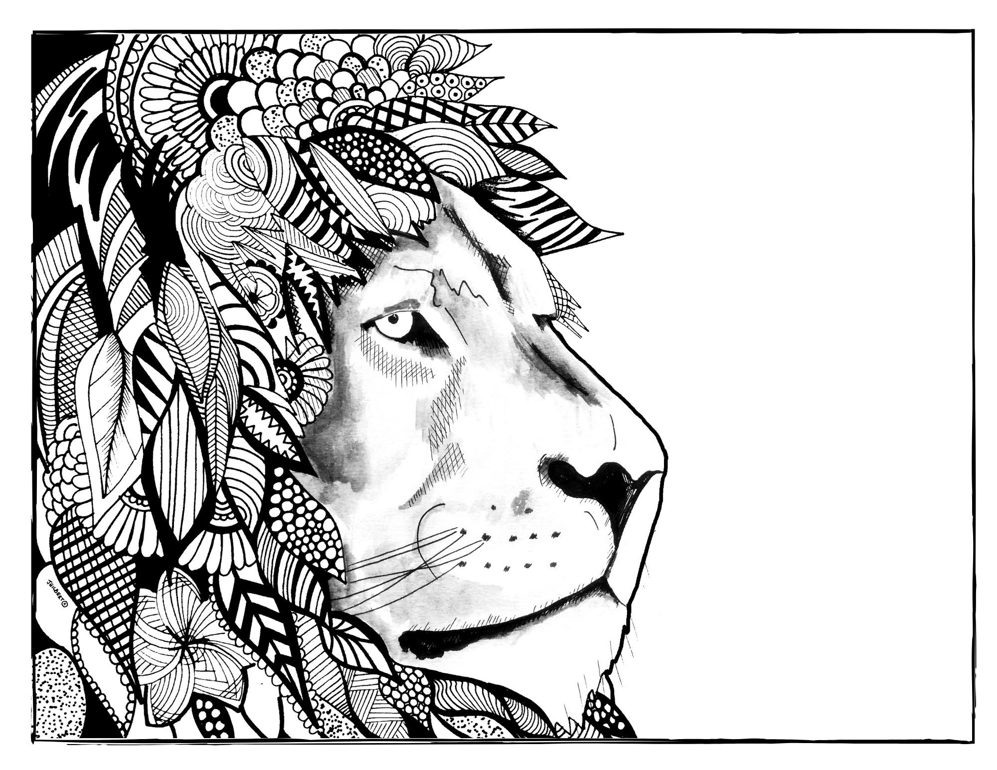 Lion Coloring Page Printable Art Print PDF PNG JPEG Etsy Lion Coloring Page Printable Art Print PDF PNG JPEG Etsy