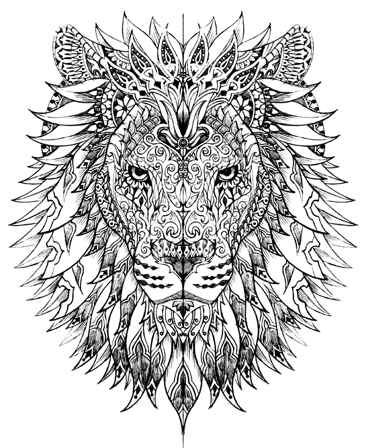 Lion Head Lion Coloring Pages For Adults Lion Head Lion Coloring Pages For Adults