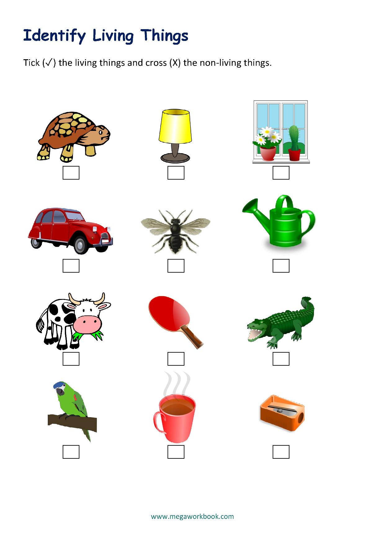 living non living worksheet