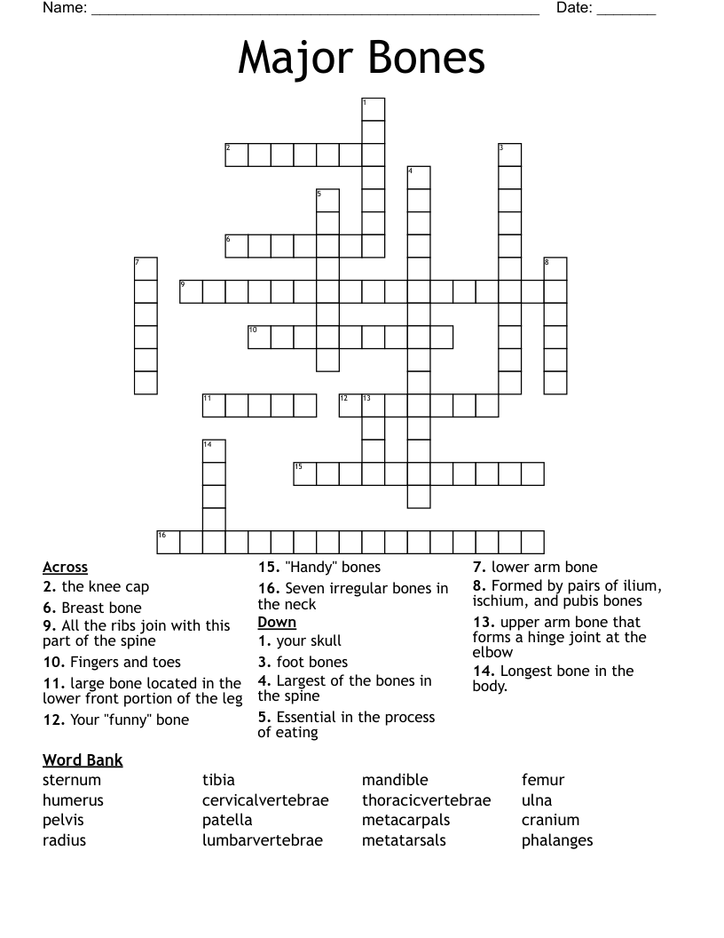 Major Bones Crossword WordMint