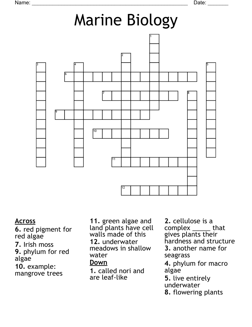 Marine Biology Crossword WordMint Marine Biology Crossword WordMint